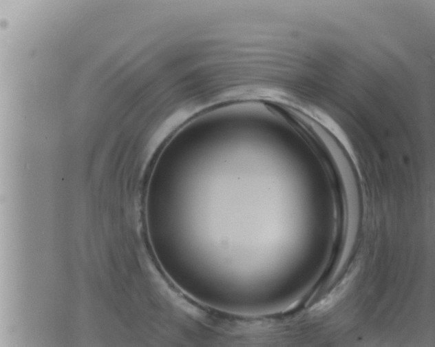 X0000062910997200601201932