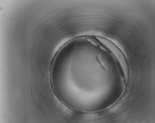 X0000062910998200601201932