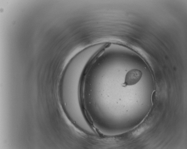 X0000062910999200601201931