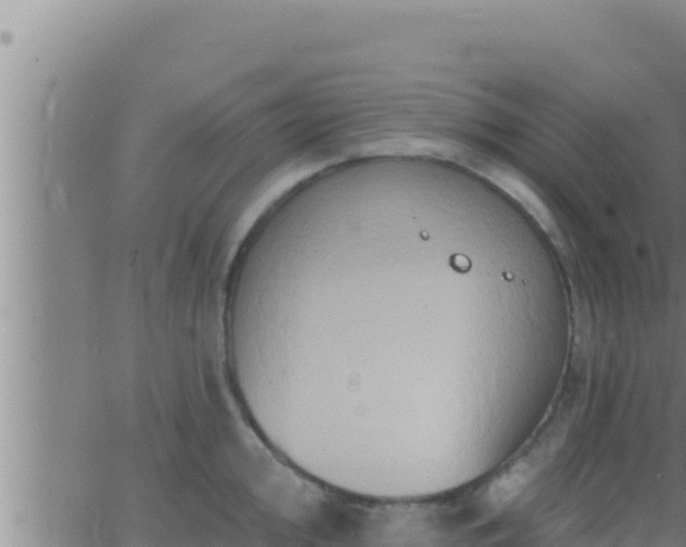 X0000062911000200601201931