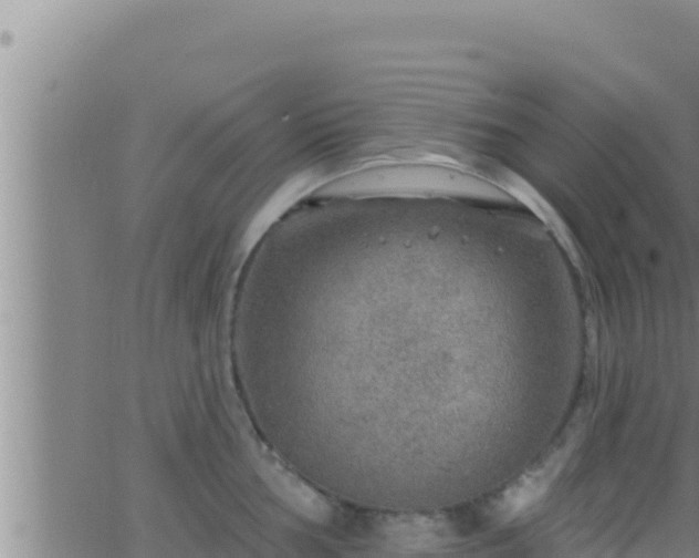 X0000062911002200601201931