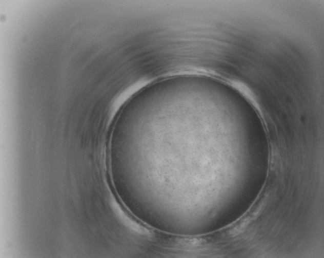 X0000062911003200601201931