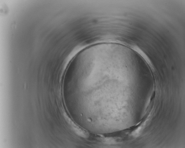 X0000062911004200601201931