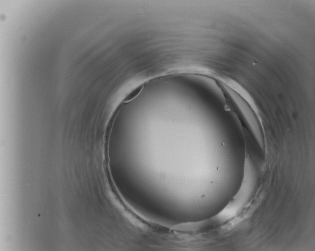 X0000062911005200601201931