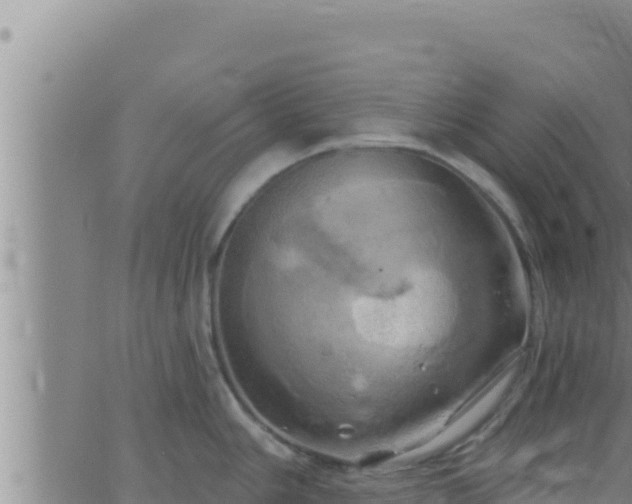 X0000062911006200601201931