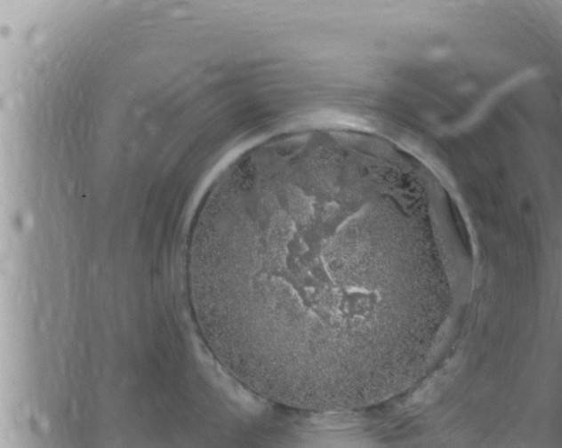 X0000062911008200601201931