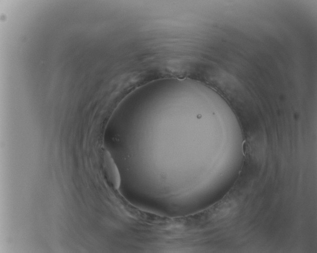 X0000062911009200601201931