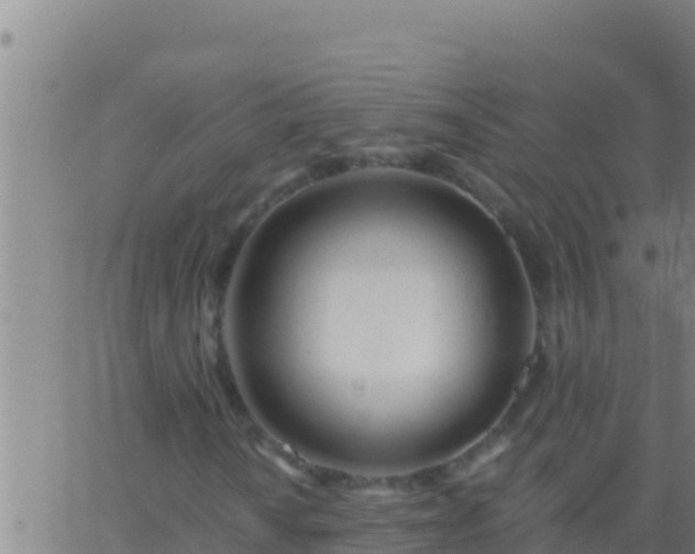 X0000062911010200601201931