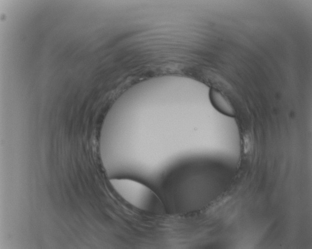 X0000062911011200601201931