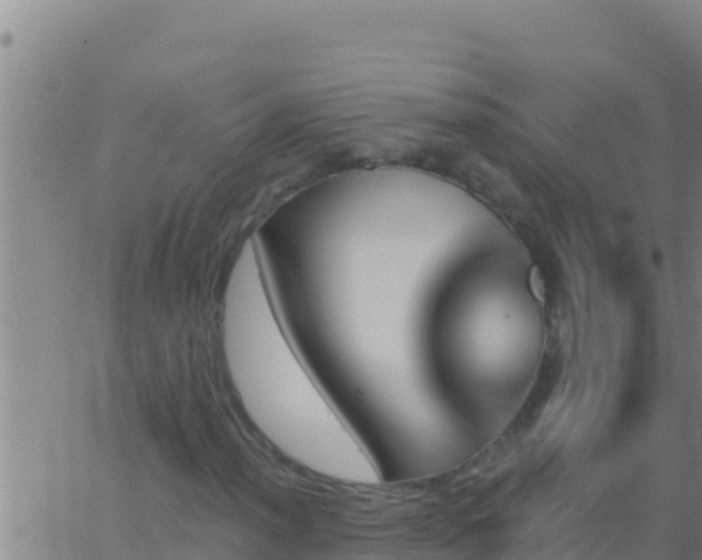 X0000062911012200601201931