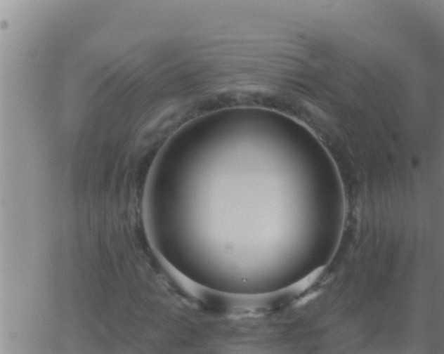 X0000062911014200601201931