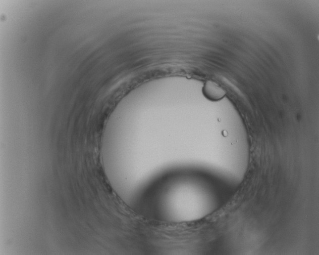 X0000062911015200601201931