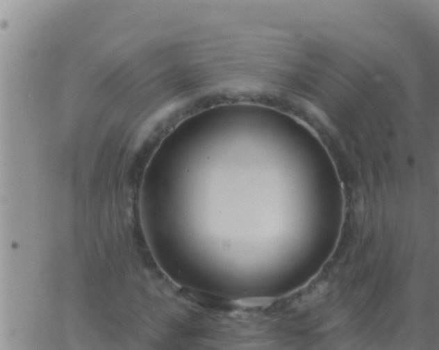 X0000062911016200601201931