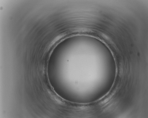 X0000062911017200601201931