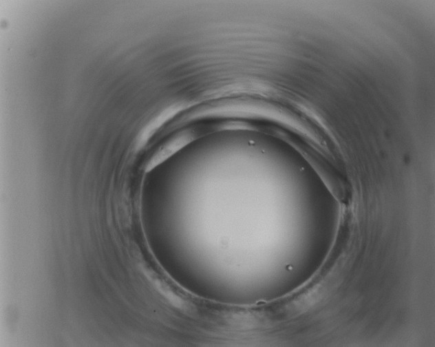 X0000062911018200601201931