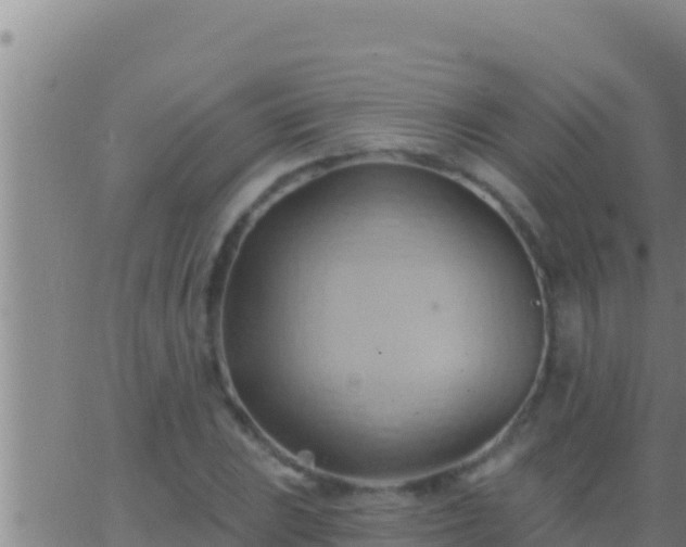 X0000062911023200601201931