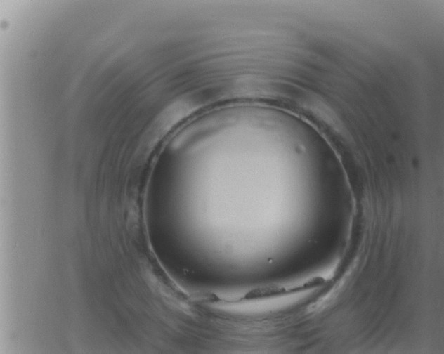 X0000062911025200601201931