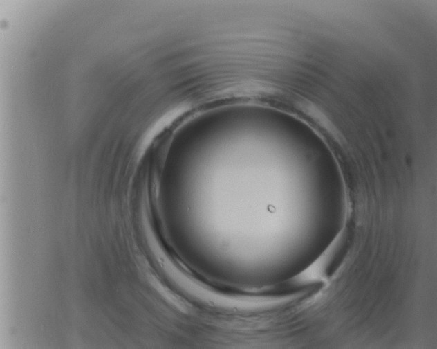 X0000062911026200601201931