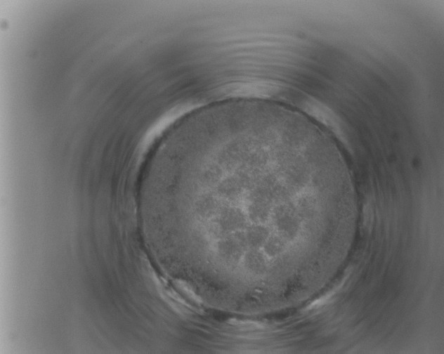 X0000062911027200601201931