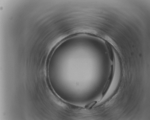 X0000062911028200601201931