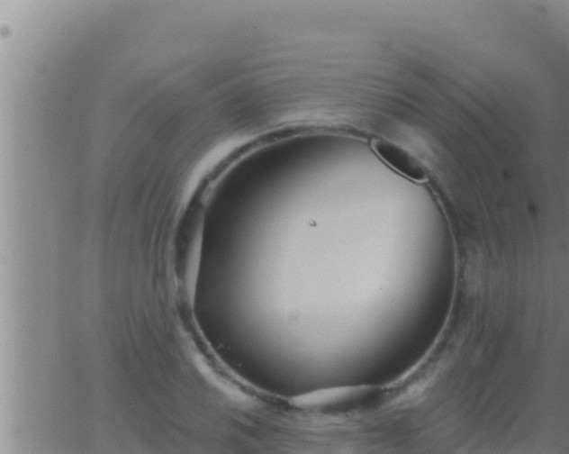 X0000062911030200601201931