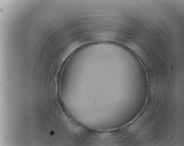 X0000062911031200601201931