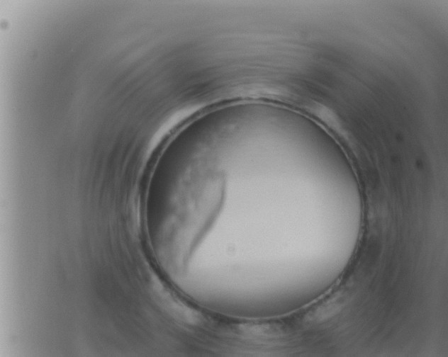 X0000062911032200601201931