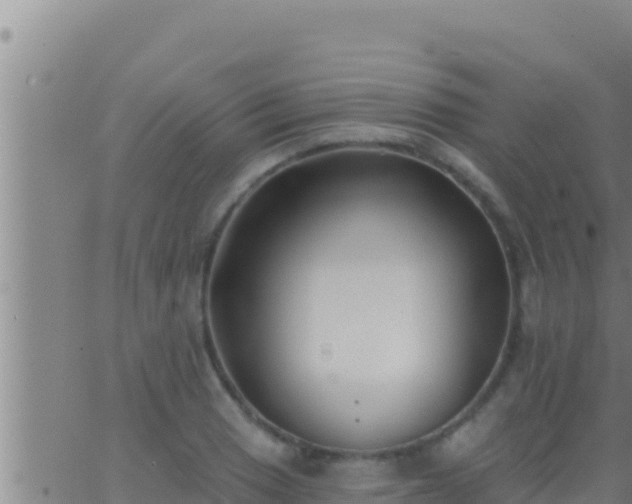 X0000062911033200601201931