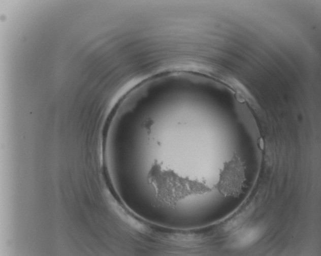 X0000062911036200601201931