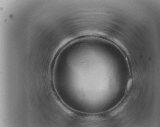 X0000062911037200601201931