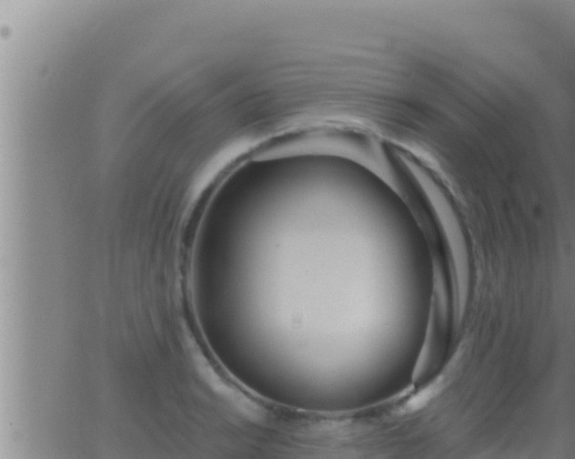 X0000062911038200601201931