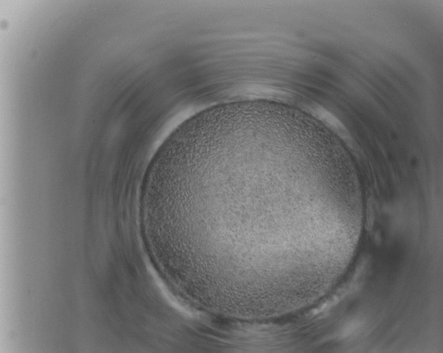 X0000062911039200601201931