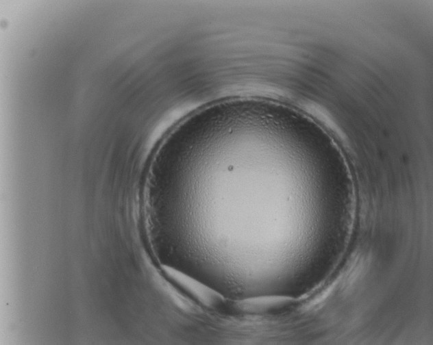 X0000062911040200601201931