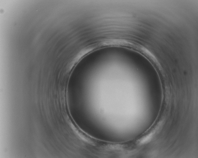 X0000062911041200601201931