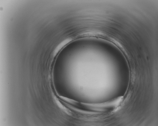 X0000062911042200601201931