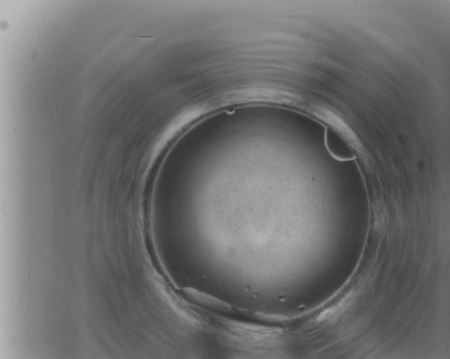 X0000062911043200601201931