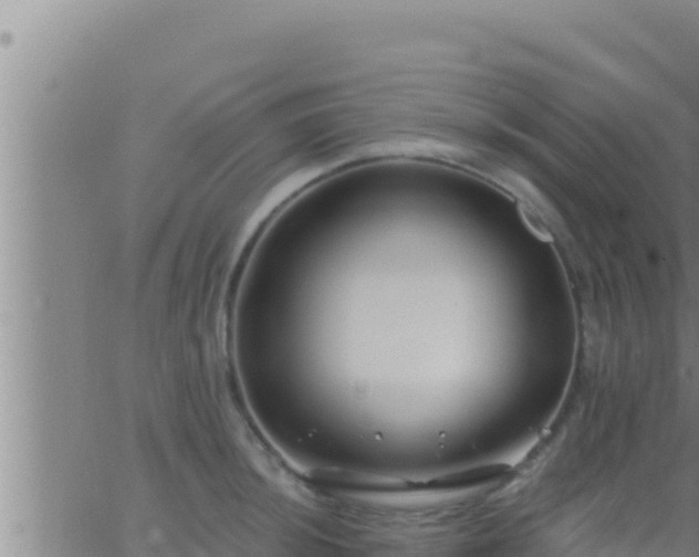 X0000062911044200601201931