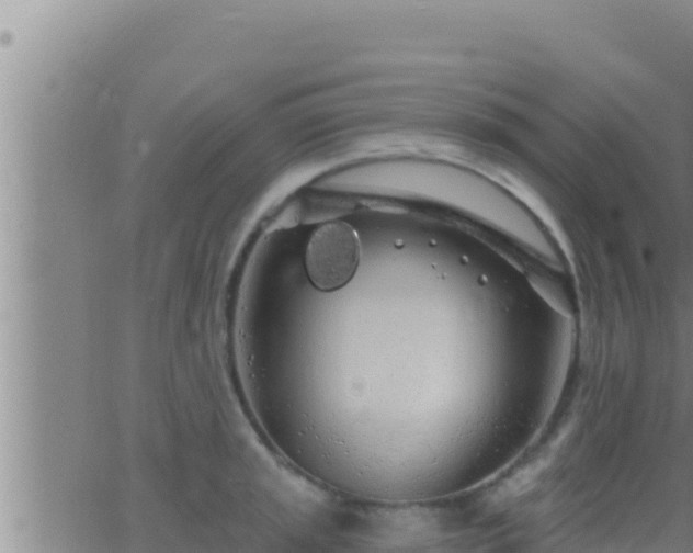 X0000062911045200601201931