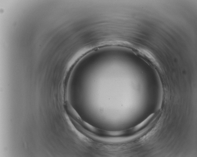 X0000062911046200601201931