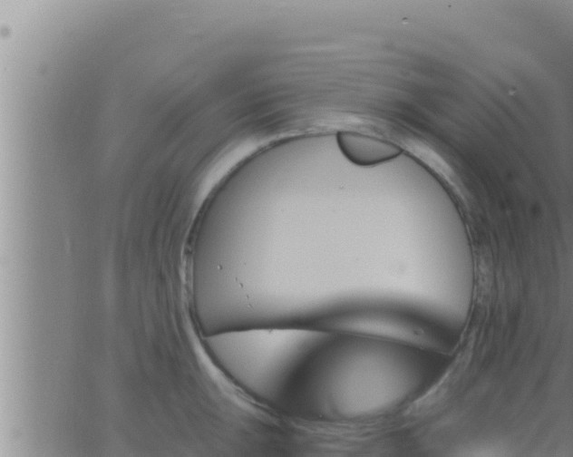 X0000062911047200601201931