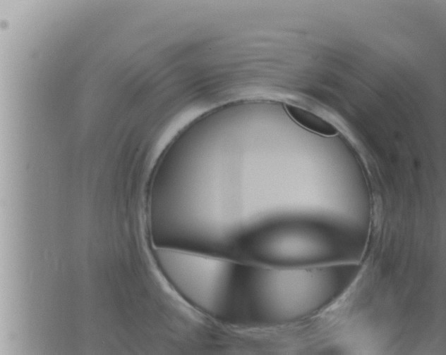 X0000062911048200601201931