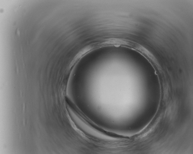 X0000062911049200601201931