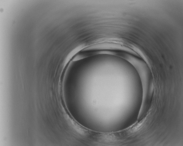 X0000062911050200601201931