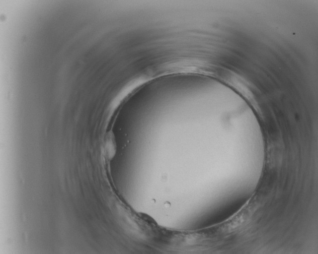 X0000062911051200601201931