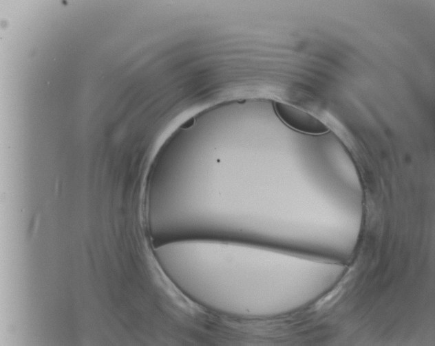 X0000062911052200601201931