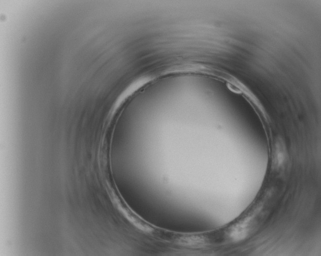 X0000062911053200601201931