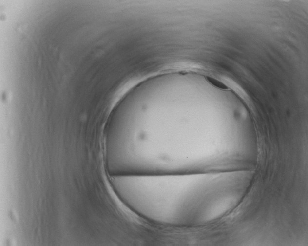 X0000062911055200601201931