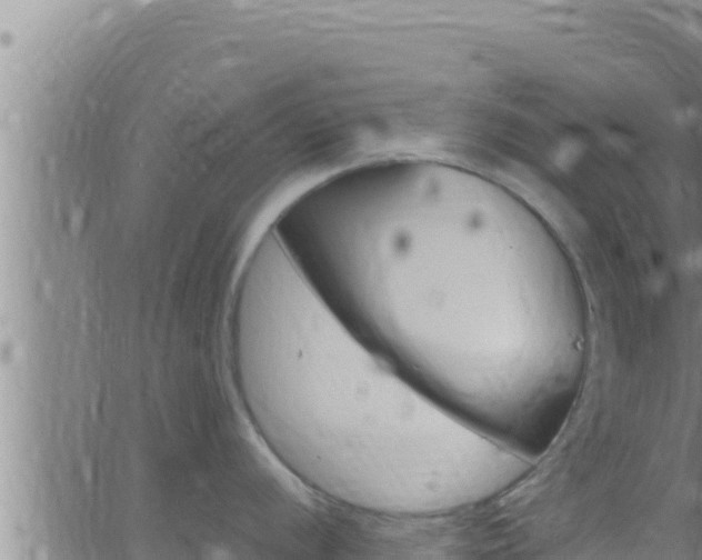 X0000062911056200601201931