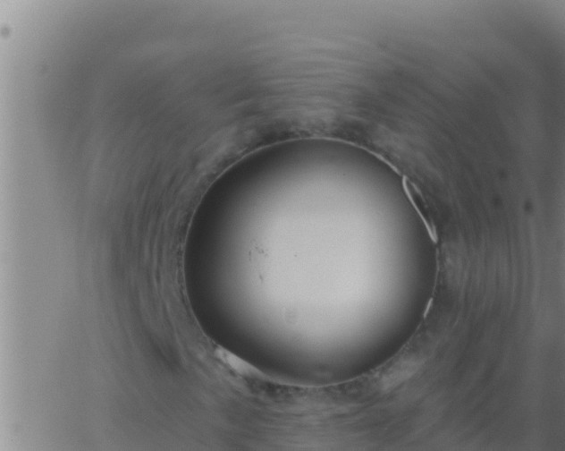 X0000062911057200601201931