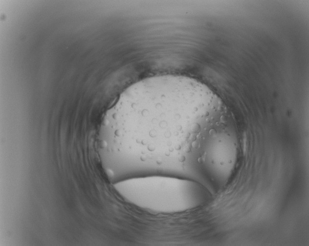 X0000062911059200601201930